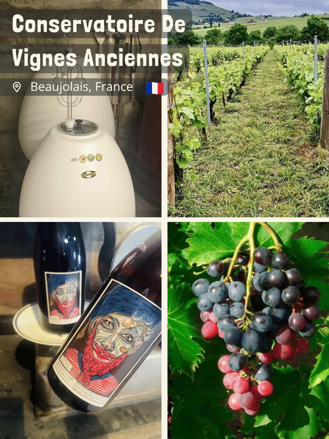 Conservatoire De Vignes Anciennes